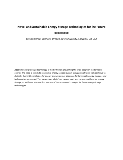 Novel and Sustainable Energy Storage Technologies for the Future