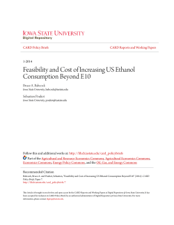 Feasibility and Cost of Increasing US Ethanol Consumption Beyond