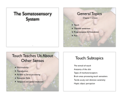 The Somatosensory System