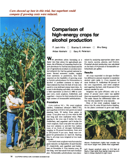 Comparison of high-energy crops for alcohol production