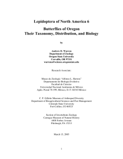 Lepidoptera of North America 6 Butterflies of