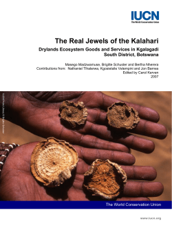 Drylands Ecosystem Goods and Services in Kgalagadi South