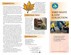 Leaf Collection - Town of Chapel Hill