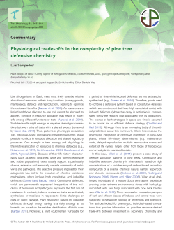Physiological trade-offs in the complexity of pine