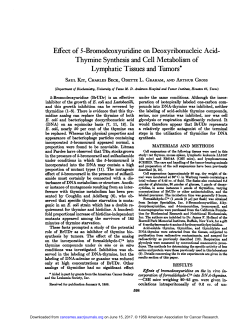 Effect of 5-Bromodeoxyuridine on Deoxyribonucleic Acid
