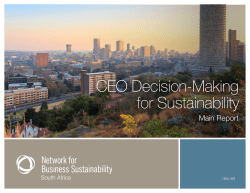 CEO Decision-Making for Sustainability