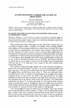 GUYED EXTENSION LADDER FOR ACCESS TO HIGH NESTS