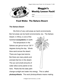 Food Webs: The Sahara Desert