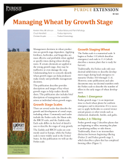 Managing Wheat by Growth Stage