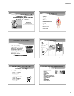 Understanding the Senses and their Potential