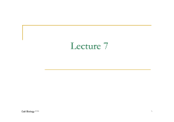 Lecture 7
