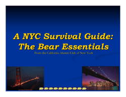 A NYC Survival Guide