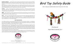 Super Bird Creations Bird Toy Safety