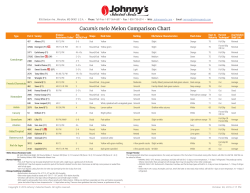 Cucumis melo Melon Comparison Chart