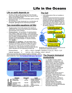 Life in the Oceans