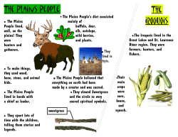 The Plains People The Iroquois