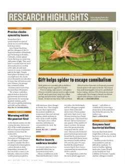 Gift helps spider to escape cannibalism