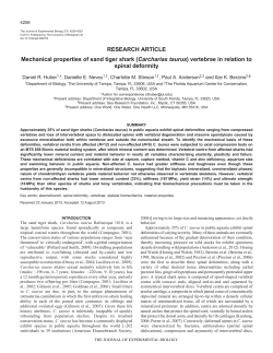 RESEARCH ARTICLE Mechanical properties of sand tiger