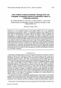 Role of Silicon in Diatom Metabolism. Messenger