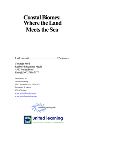 Coastal Biomes: Where the Land Meets the Sea