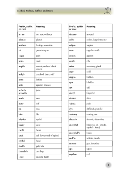 1 Medical Prefixes, Suffixes and Roots a-, an