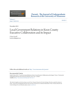 Local Government Relations in Knox County Executive