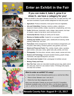 Nevada County Fair Flyer