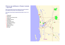 Good Wildflower Spots within the Perth area