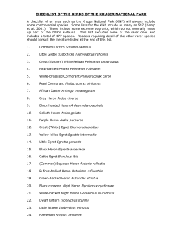 checklist of the birds of the kruger national park