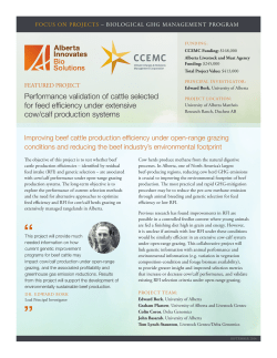 Performance validation of cattle selected for feed efficiency under