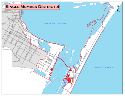 Single Member District 4