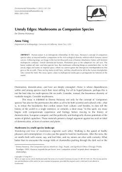 Unruly Edges: Mushrooms as Companion Species