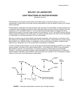 Light Reactions of Photosynthesis