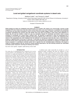 Local and global navigational coordinate systems in desert ants