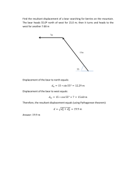 Find the resultant displacement of a bear searching for berries on