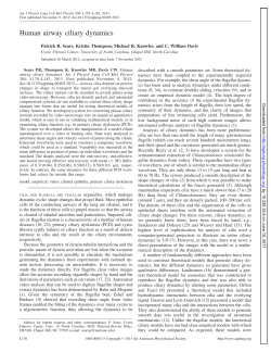 Human airway ciliary dynamics