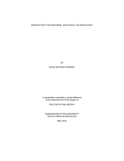 Rowsey_wsu_0251E_11285