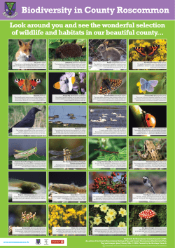 Biodiversity in County Roscommon