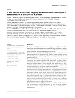Is the loss of Australian digging mammals contributing to a