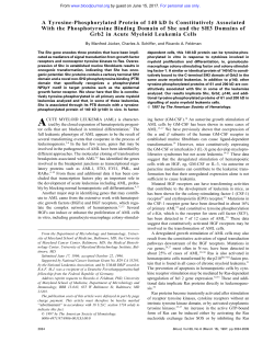 A Tyrosine-Phosphorylated Protein of 140 kD Is Constitutively