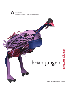 Brian Jungen: Strange Comfort - National Museum of the American