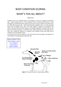body condition scoring what`s this all about?