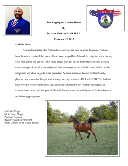 Tent Pegging on Arabian Horses - United States Tent Pegging