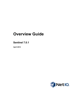 NetIQ Sentinel 7.0.1 Overview Guide