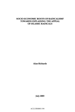 SOCIO-ECONOMIC ROOTS OF RADICALISM?