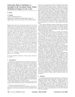 Trabecular Bone Contributes to Strength of the Proximal Femur