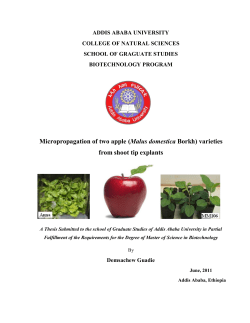 DEMSACHEW GUADIE - Addis Ababa University Institutional