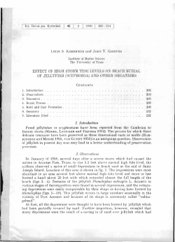effect of htgh stokm t1dk levels on beach burial of jellyfish