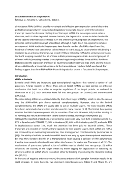 cis-Antisense RNAs in Streptomyces &Scaron;etinov&aacute; D., Novotn&aacute; K