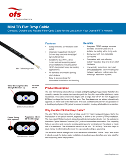 Mini TB Flat Drop Cable